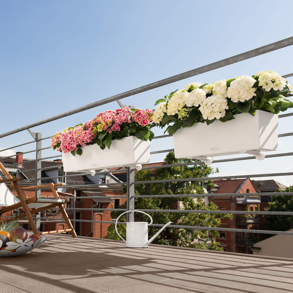 BALCONERA Couleur
