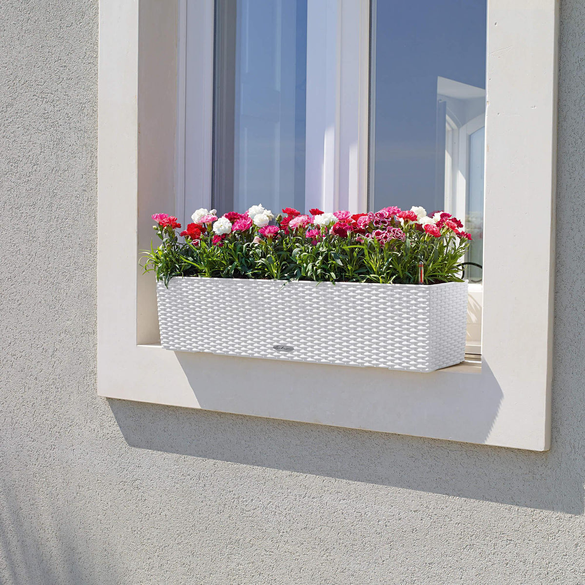 BALCONERA Cottage